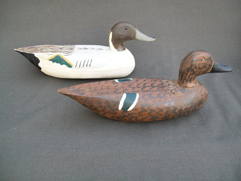 Charles Schoenheider Jr., Pair of Pintails  (#1216)