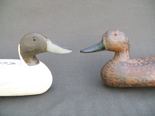 Charles Schoenheider Jr., Pair of Pintails  (#1216)