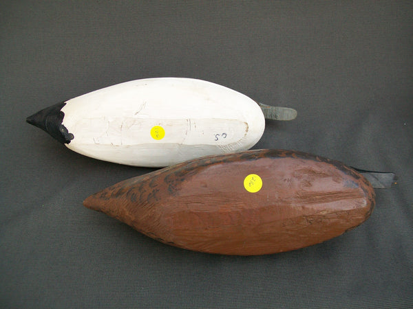 Charles Schoenheider Jr., Pair of Pintails  (#1216)