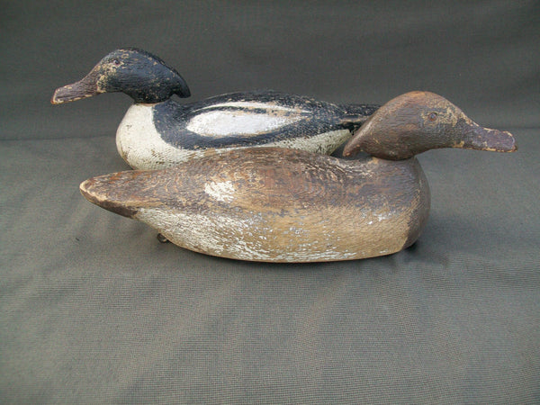 Sperry Factory Mergansers Pair, rare hard to find - Circa 1920's