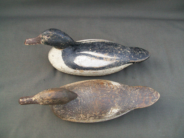 Sperry Factory Mergansers Pair, rare hard to find - Circa 1920's