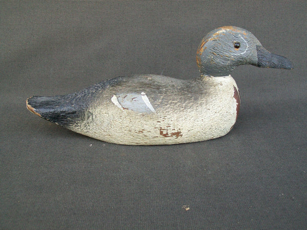 Pratt Factory Blue Wing Teal - Rough Cut  (#1391)