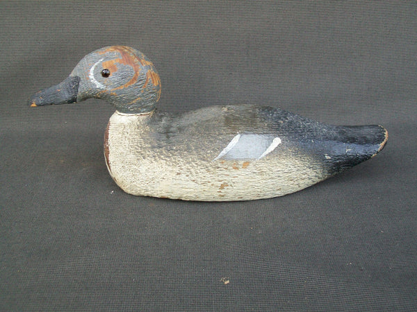 Pratt Factory Blue Wing Teal - Rough Cut  (#1391)