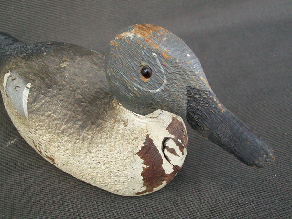 Pratt Factory Blue Wing Teal - Rough Cut  (#1391)