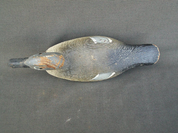 Pratt Factory Blue Wing Teal - Rough Cut  (#1391)