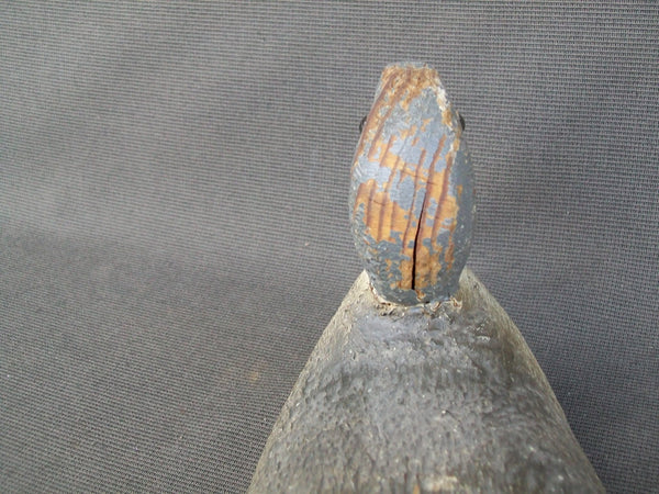 Pratt Factory Blue Wing Teal - Rough Cut  (#1391)