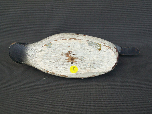 Pratt Factory Blue Wing Teal - Rough Cut  (#1391)