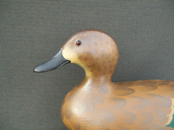 Mike Valley Green Wing Teal  (#1429)