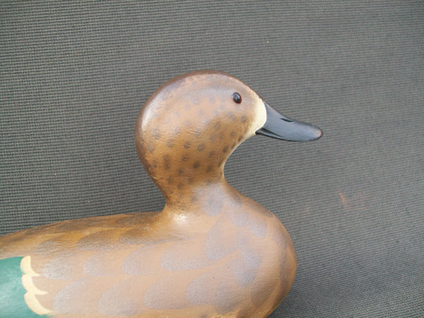 Mike Valley Green Wing Teal  (#1429)