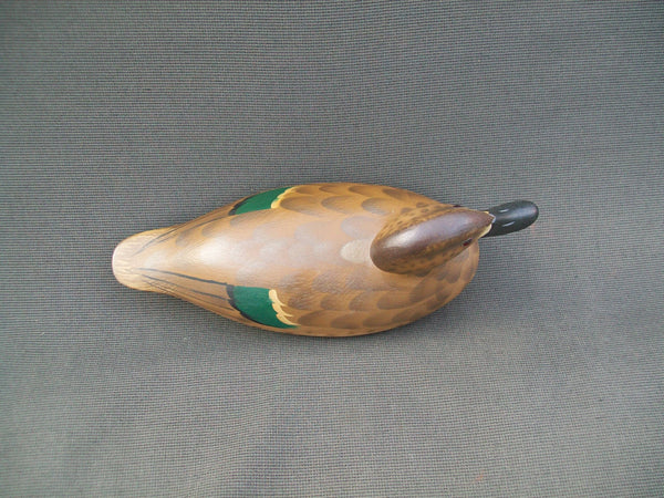 Mike Valley Green Wing Teal  (#1429)