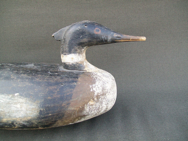 Maine Merganser working decoy with weight