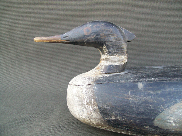Maine Merganser working decoy with weight