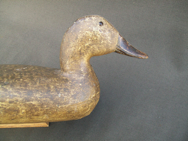 Elliston Mallard Hen painted by Ed Keller  (#1450)