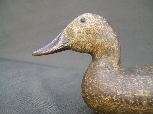 Elliston Mallard Hen painted by Ed Keller  (#1450)