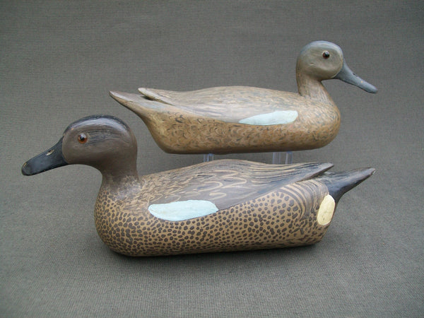 Folky Pair of Blue Wing Teal, Unknown Carver (#1562)