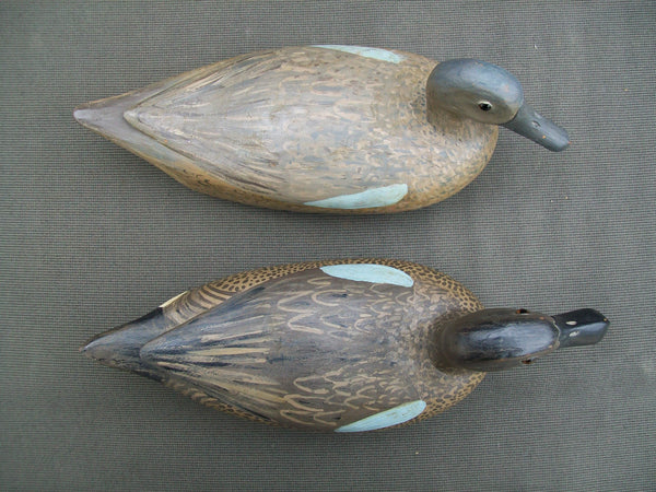 Folky Pair of Blue Wing Teal, Unknown Carver (#1562)