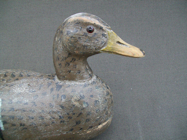 Minnesota Mallard Hen, Branded (#1580)