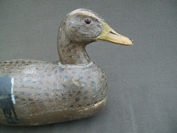 Minnesota Mallard Hen, Branded (#1580)