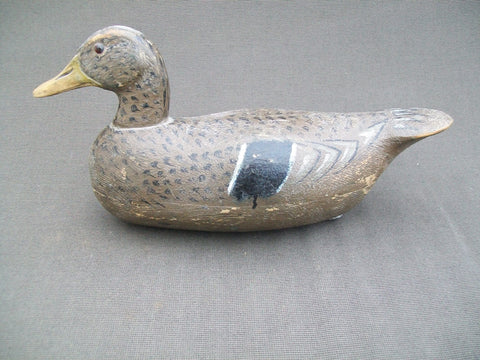 Minnesota Mallard Hen, Branded (#1580)