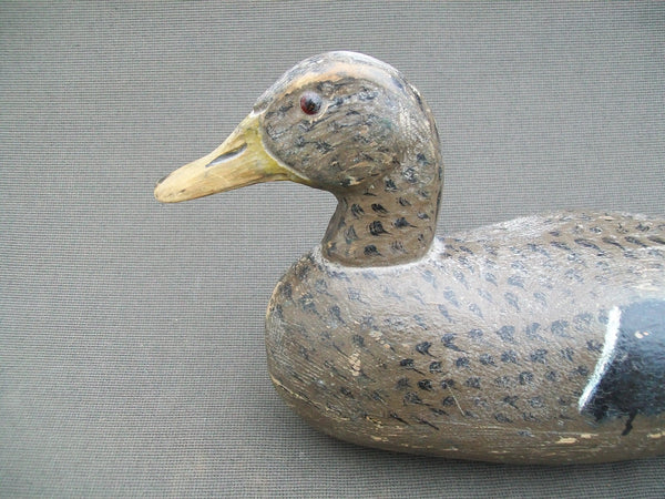 Minnesota Mallard Hen, Branded (#1580)