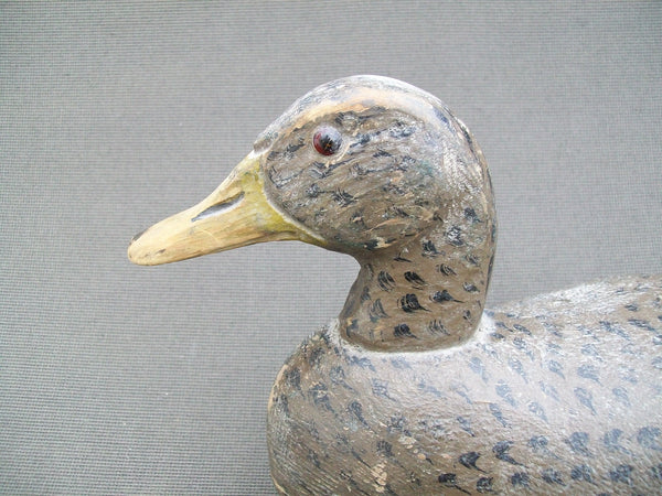 Minnesota Mallard Hen, Branded (#1580)