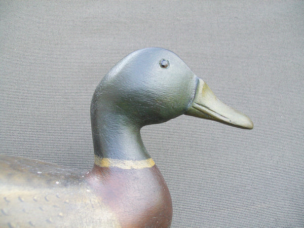 Mike Vallero Mallard Drake, Circa 1930's (#1582)