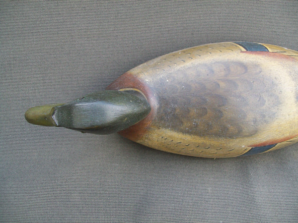 Mike Vallero Mallard Drake, Circa 1930's (#1582)