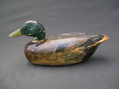 Frank Cassini Mallard Drake
