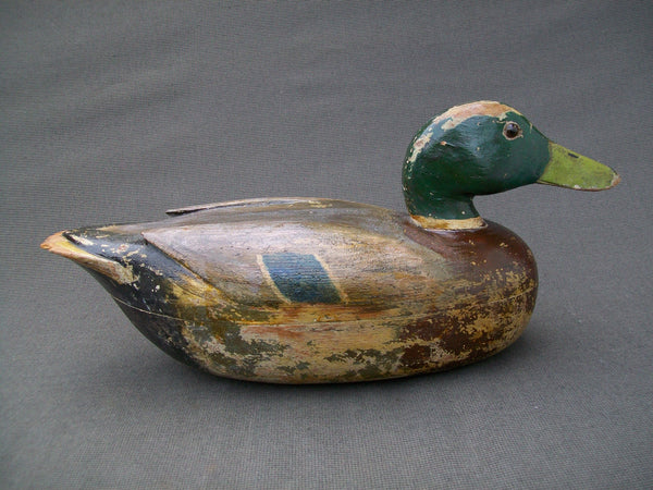 Frank Cassini Mallard Drake
