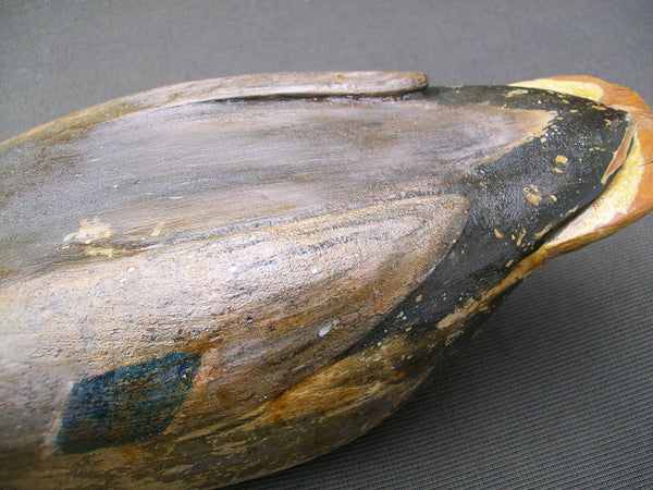 Frank Cassini Mallard Drake