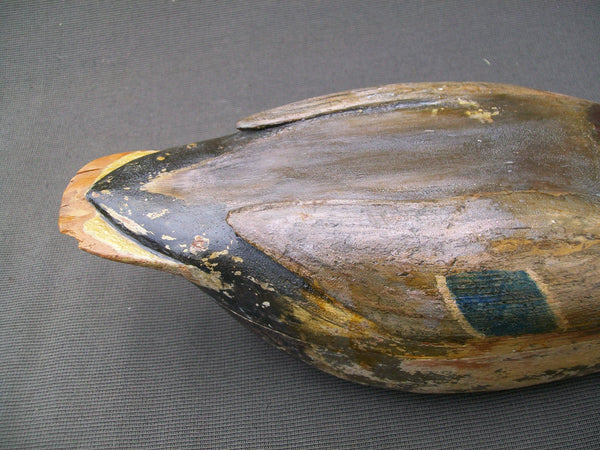 Frank Cassini Mallard Drake