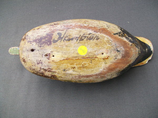 Frank Cassini Mallard Drake