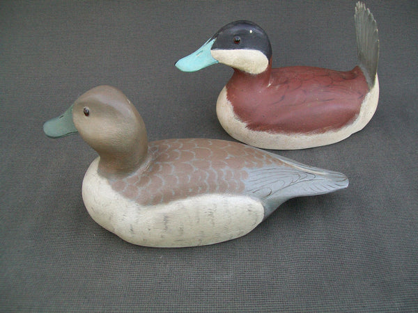 L.T. Ward Ruddy Ducks painted by Fred Destri