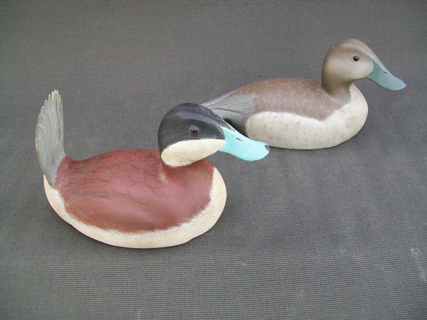 L.T. Ward Ruddy Ducks painted by Fred Destri