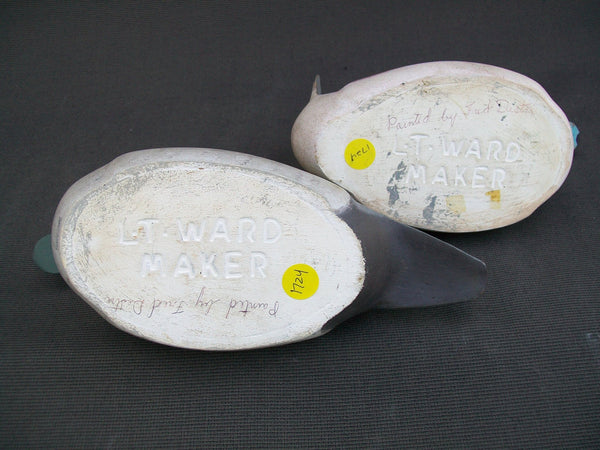 L.T. Ward Ruddy Ducks painted by Fred Destri