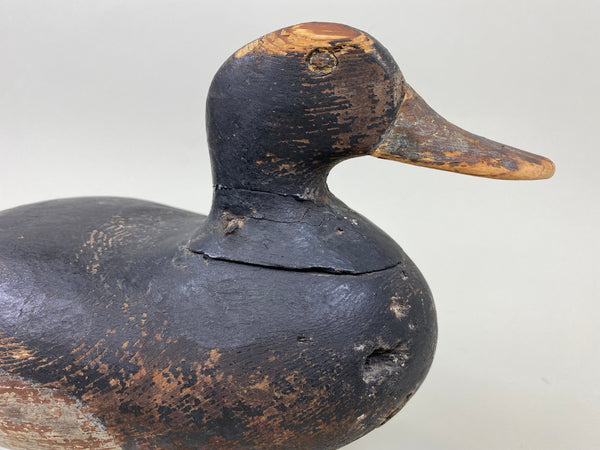 Unknown Ohio Blue Bill Drake (#1738)