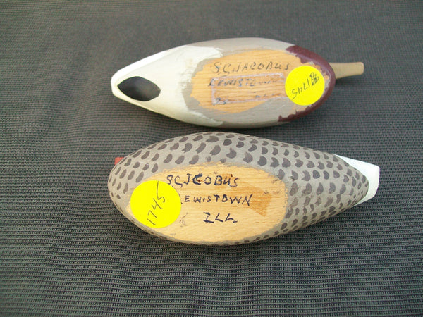 S. C. Jacobus Miniature Mallards - Lewistown, Illinois  (#1745)