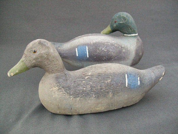 Animal Trap Mallards Pair, Sleeper Drake  (#1763)