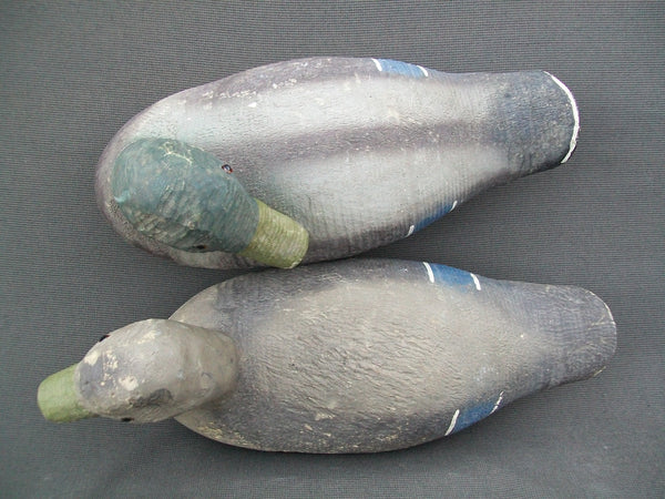 Animal Trap Mallards Pair, Sleeper Drake  (#1763)