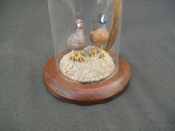 Miniature Blue Wing Teal Pair in glass display case.  William DeSelms