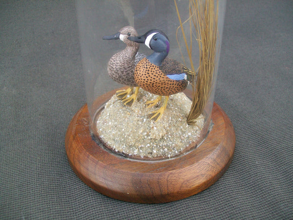Miniature Blue Wing Teal Pair in glass display case.  William DeSelms