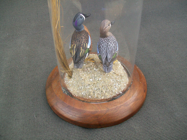 Miniature Blue Wing Teal Pair in glass display case.  William DeSelms