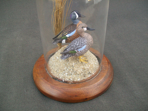 Miniature Blue Wing Teal Pair in glass display case.  William DeSelms