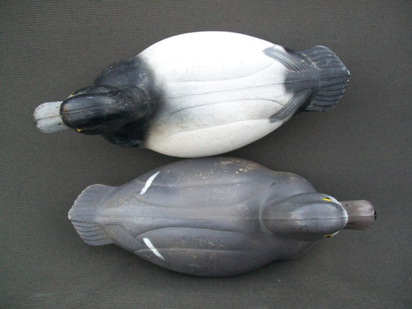 Very Early PS Olt Blue Bill Pair Working Decoys  (#1778)