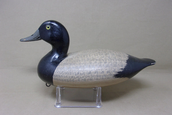 Steven Lane Blue Bill Drake, Circa 1900's (#182)