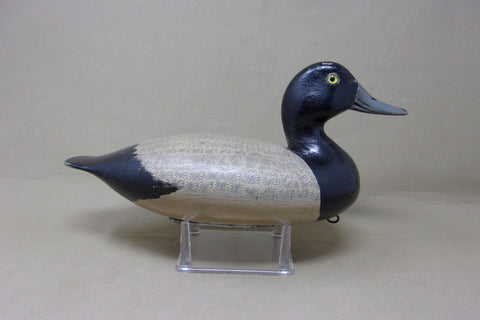 Steven Lane Blue Bill Drake, Circa 1900's (#182)