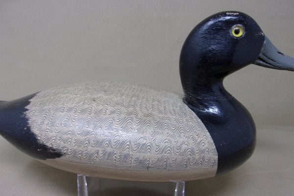 Steven Lane Blue Bill Drake, Circa 1900's (#182)