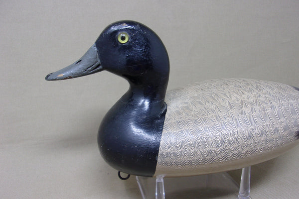 Steven Lane Blue Bill Drake, Circa 1900's (#182)