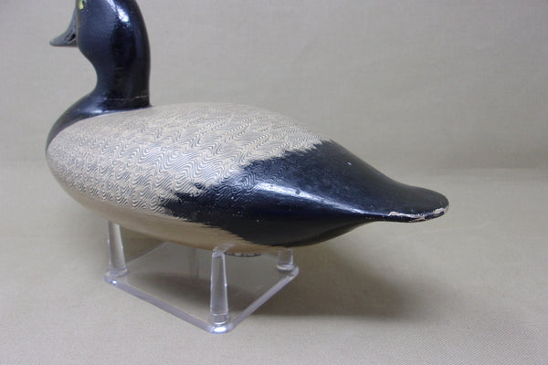 Steven Lane Blue Bill Drake, Circa 1900's (#182)