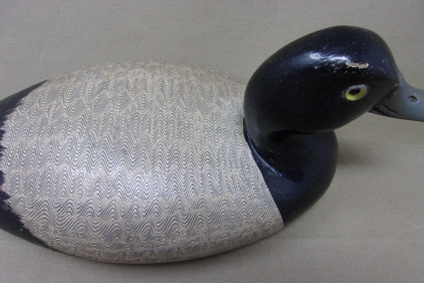 Steven Lane Blue Bill Drake, Circa 1900's (#182)